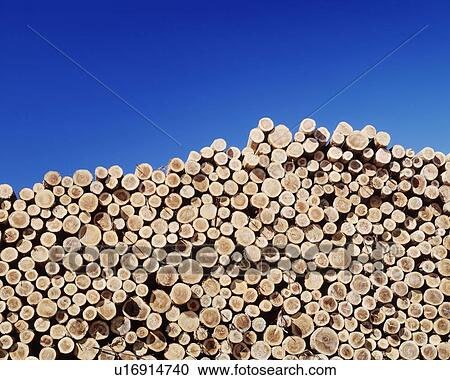Pile of logs View Large Photo Image Stock Image - Pile of logs. Fotosearch