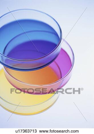 Pile of petri dishes with colorful liquid, blue background View Large Photo Image Stock Image - Pile of petri dishes with colorful liquid, blue background. Fotosearch