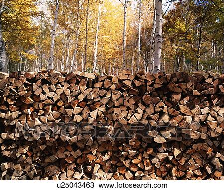 Stock Image - Piled Firewood and Autumn Colored Trees. Fotosearch