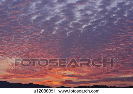 Pink evening cirrocumulus cloud. Sagamihara, Kanagawa Prefecture, Japan View Large Photo Image Stock Image - Pink evening cirrocumulus cloud. Sagamihara, Kanagawa Prefecture, Japan. Fotosearch