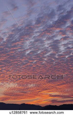 Stock Image - Pink evening cirrocumulus cloud. Sagamihara, Kanagawa Prefecture, Japan. Fotosearch