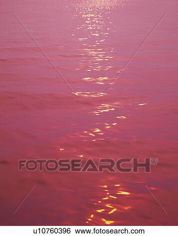 Stock Photograph - Pink water surface in the evening. Fotosearch