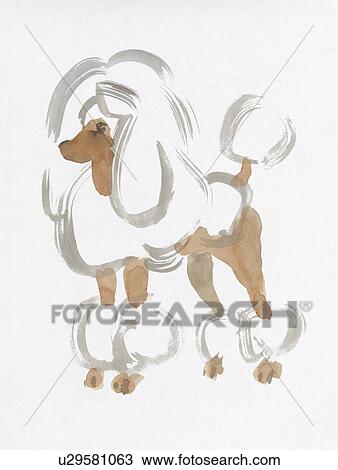 Stock Image - Poodle, Water Color Painting. Fotosearch