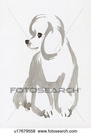Stock Photo - Poodle, Water Color Painting. Fotosearch