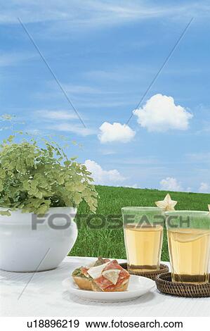 Pot plant, drinks and snacks on a picnic blanket View Large Photo Image Stock Photo - Pot plant, drinks and snacks on a picnic blanket. Fotosearch