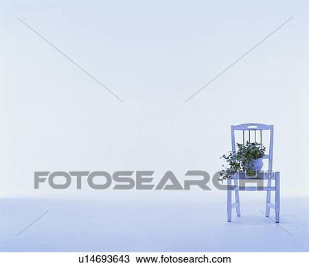 Stock Image - Pot plant on white wooden chair. Fotosearch