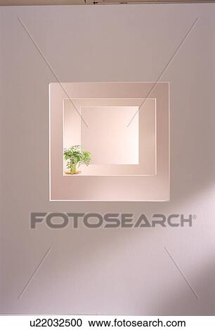 Stock Image - Pot plant seen through multiple windows. Fotosearch
