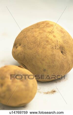 Stock Photo - Potatoes. Fotosearch