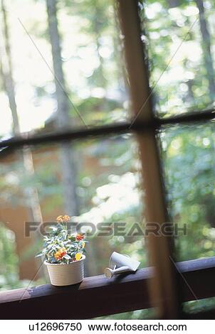 Potted plant and watering pot beside window. Nagano Prefecture, Japan View Large Photo Image Stock Image - Potted plant and watering pot beside window. Nagano Prefecture, Japan. Fotosearch