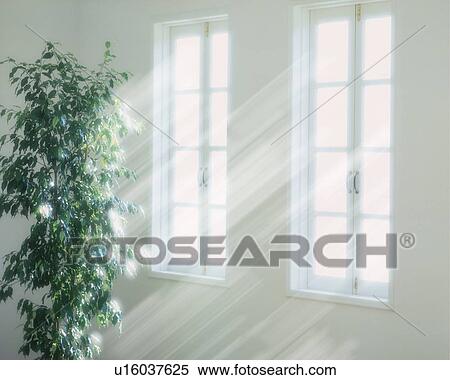 Potted plant by window, computer graphic View Large Photo Image Stock Photography - Potted plant by window, computer graphic. Fotosearch