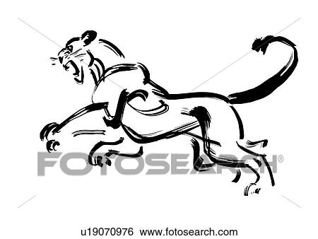 Stock Photograph - Pouncing Lion, Black Ink Illustration. Fotosearch