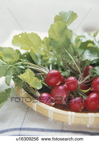Stock Photograph - Radishes in basket. Fotosearch