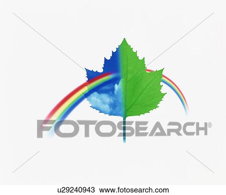 Rainbow and Leaf View Large Photo Image Stock Image - Rainbow and Leaf. Fotosearch