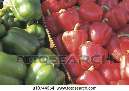 Picture - Red and green bell peppers. Fotosearch
