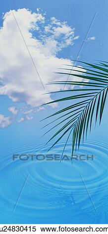 Stock Photography - Ripple. Fotosearch