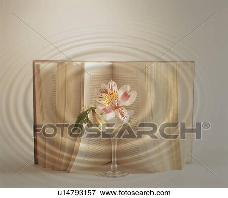 Stock Photo - Ripple superimposed over book and crystal glass with flower. Fotosearch