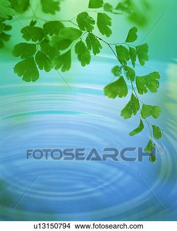 Rippled water View Large Photo Image Picture - Rippled water. Fotosearch