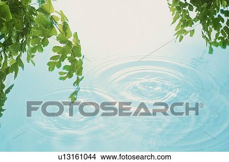 Rippled water View Large Photo Image Picture - Rippled water. Fotosearch