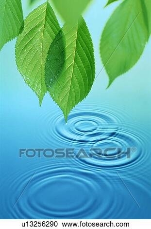 Stock Image - Rippled water. Fotosearch