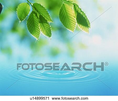 Rippled water View Large Photo Image Stock Image - Rippled water. Fotosearch