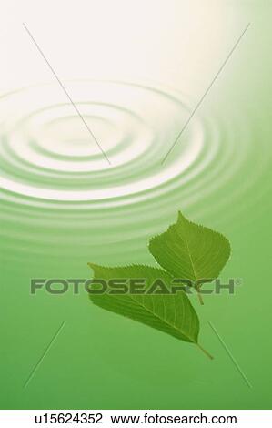 Stock Image - Rippled water. Fotosearch