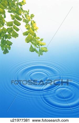Rippled water View Large Photo Image Stock Image - Rippled water. Fotosearch