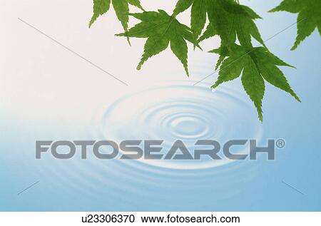 Rippled water View Large Photo Image Stock Image - Rippled water. Fotosearch