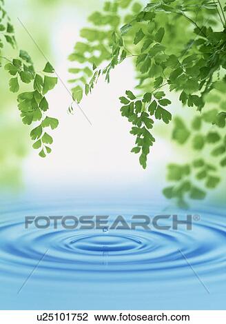 Rippled water View Large Photo Image Stock Image - Rippled water. Fotosearch