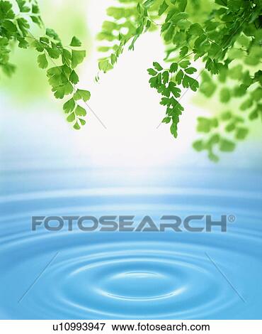 Stock Photo - Rippled water. Fotosearch