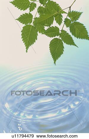 Rippled water View Large Photo Image Stock Photo - Rippled water. Fotosearch