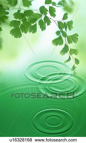 Stock Photo - Rippled water. Fotosearch