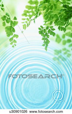 Stock Photograph - Rippled water. Fotosearch