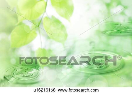 Ripples in water and leafy branch View Large Photo Image Stock Photo - Ripples in water and leafy branch. Fotosearch