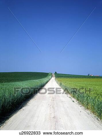 Road between fields, Hokkaido prefecture, Japan View Large Photo Image Stock Image - Road between fields, Hokkaido prefecture, Japan. Fotosearch