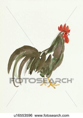 Stock Photograph - Rooster. Fotosearch