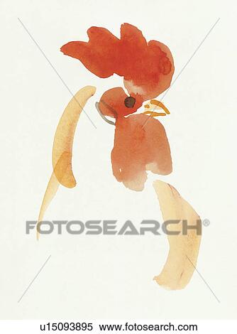 Stock Photography - Rooster. Fotosearch