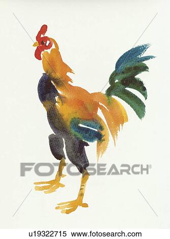 Stock Photography - Rooster. Fotosearch