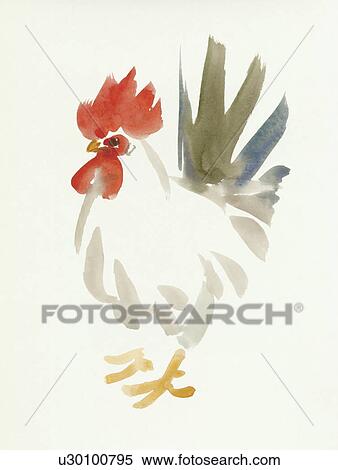 Stock Photography - Rooster. Fotosearch