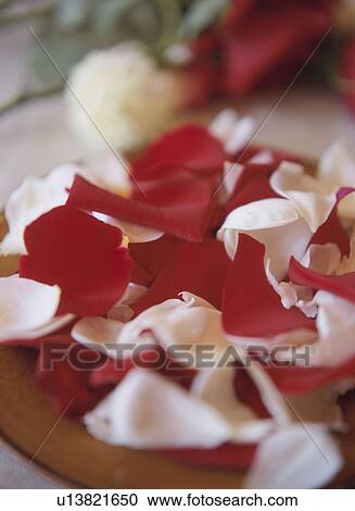 Stock Image - Rose petals. Fotosearch