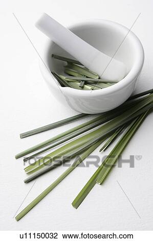 Stock Image - Rosemary in a pestle and mortar. Fotosearch