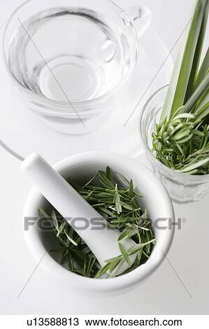 Rosemary in a pestle and mortar View Large Photo Image Stock Image - Rosemary in a pestle and mortar. Fotosearch