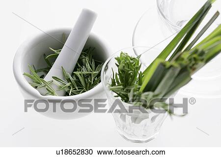 Stock Image - Rosemary in a pestle and mortar. Fotosearch