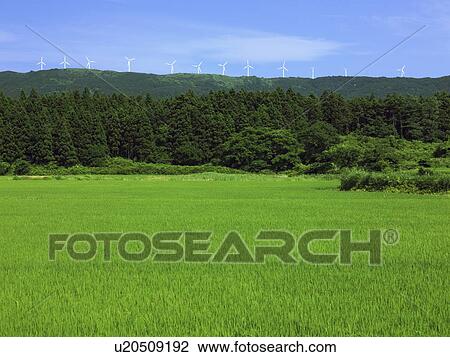 Row of wind turbines and field, Nikaho city, Akita prefecture, Japan View Large Photo Image Stock Image - Row of wind turbines and field, Nikaho city, Akita prefecture, Japan. Fotosearch