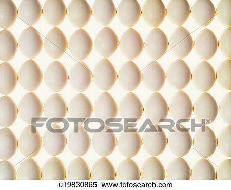 Stock Photography - Rows of eggs. Fotosearch