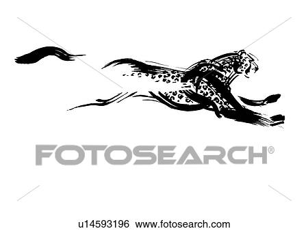 Stock Photograph - Running Leopard, Black Ink Illustration. Fotosearch