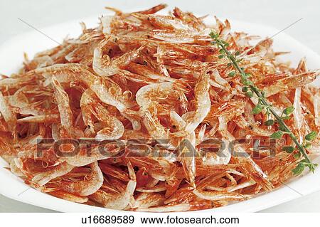 Stock Photo - Sakura eibi (cherry shrimp). Fotosearch