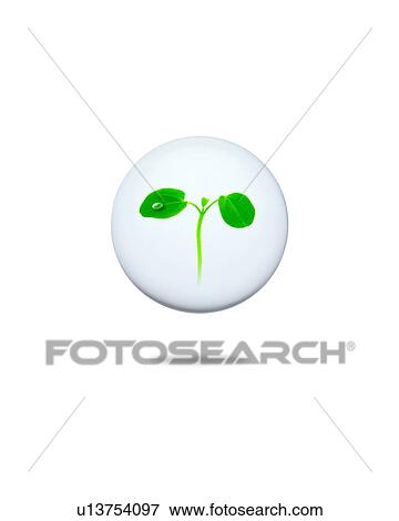 Sapling and water drop in sphere View Large Photo Image Stock Photo - Sapling and water drop in sphere. Fotosearch