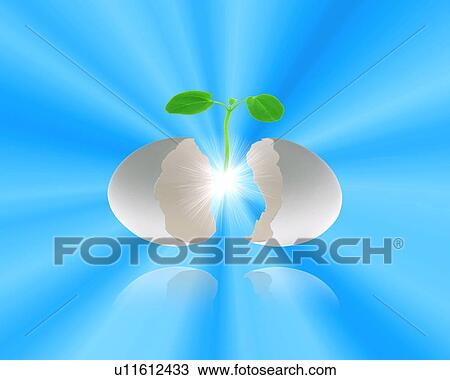 Sapling born from an egg View Large Photo Image Stock Image - Sapling born from an egg. Fotosearch