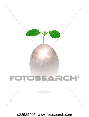 Stock Photography - Sapling born from an egg. Fotosearch