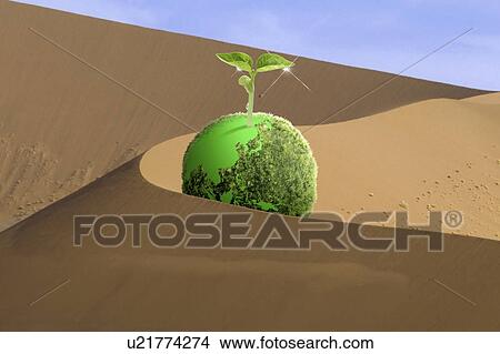 Picture - Sapling growing from a green ball in a desert. Fotosearch